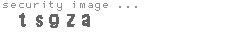 security image
