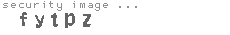 security image