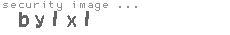 security image