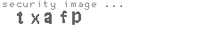 security image