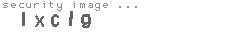 security image