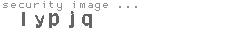 security image
