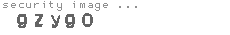 security image