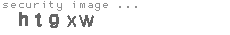 security image