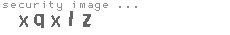 security image