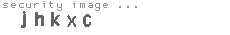 security image