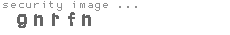 security image