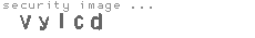 security image