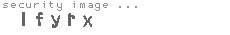 security image