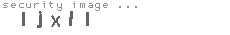 security image