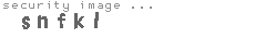 security image