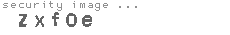 security image