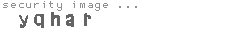 security image