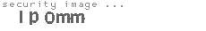 security image