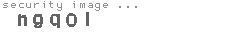 security image