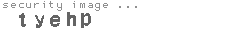 security image