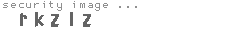 security image