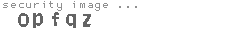 security image
