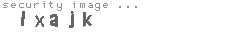 security image