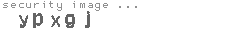 security image