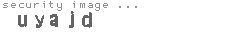 security image