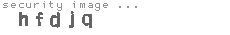 security image