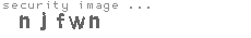 security image
