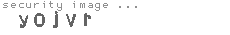 security image