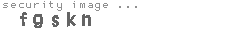 security image