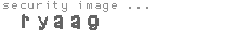 security image