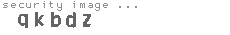 security image