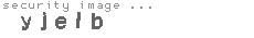 security image