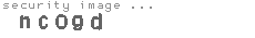 security image