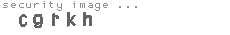 security image