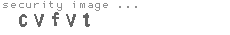 security image