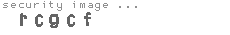 security image