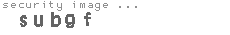 security image