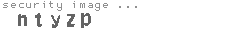 security image