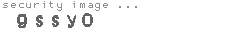 security image