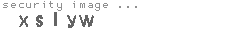 security image