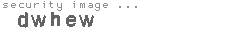 security image