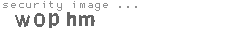 security image