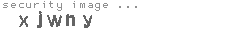 security image