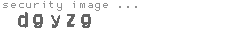 security image