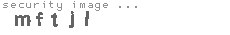 security image
