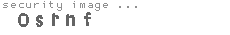 security image