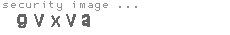 security image