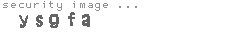 security image