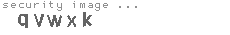 security image