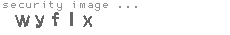 security image